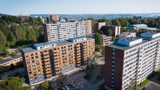 Overblikk over studentboligene i Kringsjå studentby