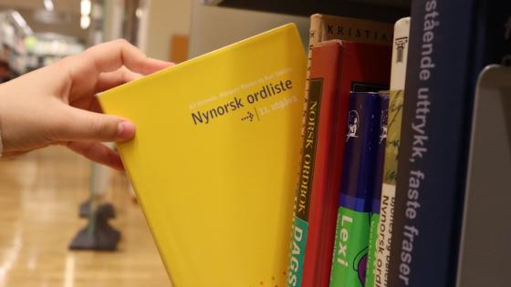 Nynorsk ordliste settes på hylla
