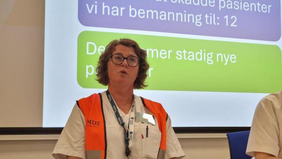 DIREKTØR: Lise Sandnes ved Mørkved universitetssykehus. Foto: Odd-Georg H. Benjaminsen