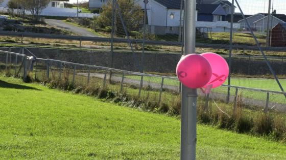 BYGDA MØTTE OPP: Det var mange som møtte opp da det ble arrangert Rosa-sløyfe løp på Røst. 